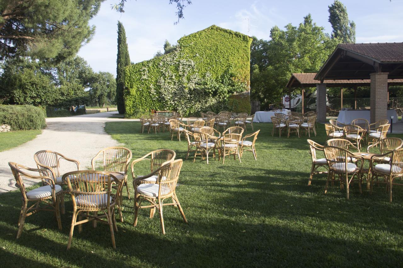 Agriturismo Pian Del Tevere Torgiano Exterior photo
